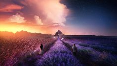 2am Dreamy Dance Mix by Trazer [Ambient Melodic Dance Music]